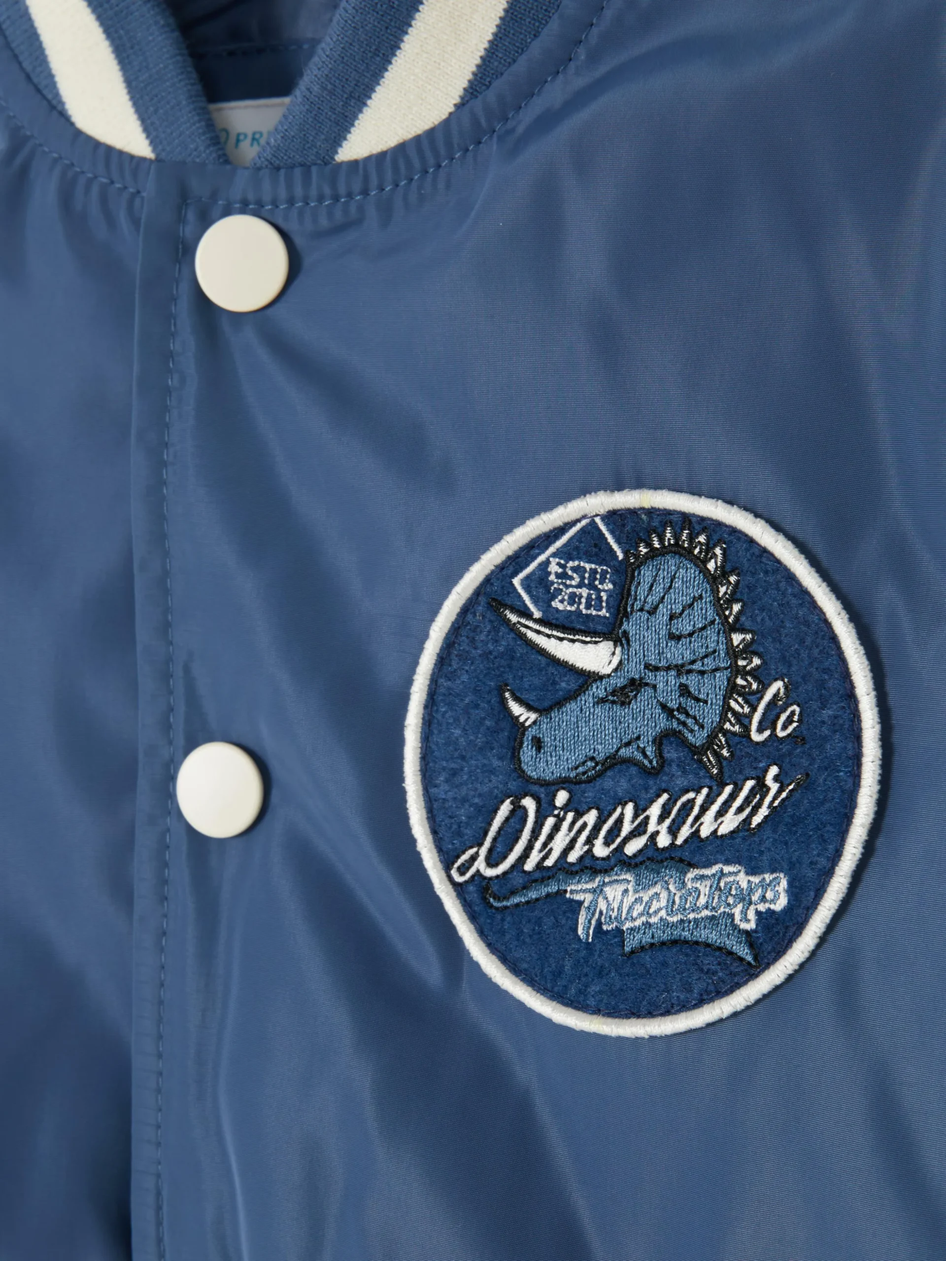 Collegejas Dinosaurus