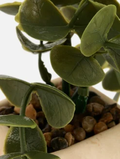 Hangende Imitatievetplant In Geometrische Pot