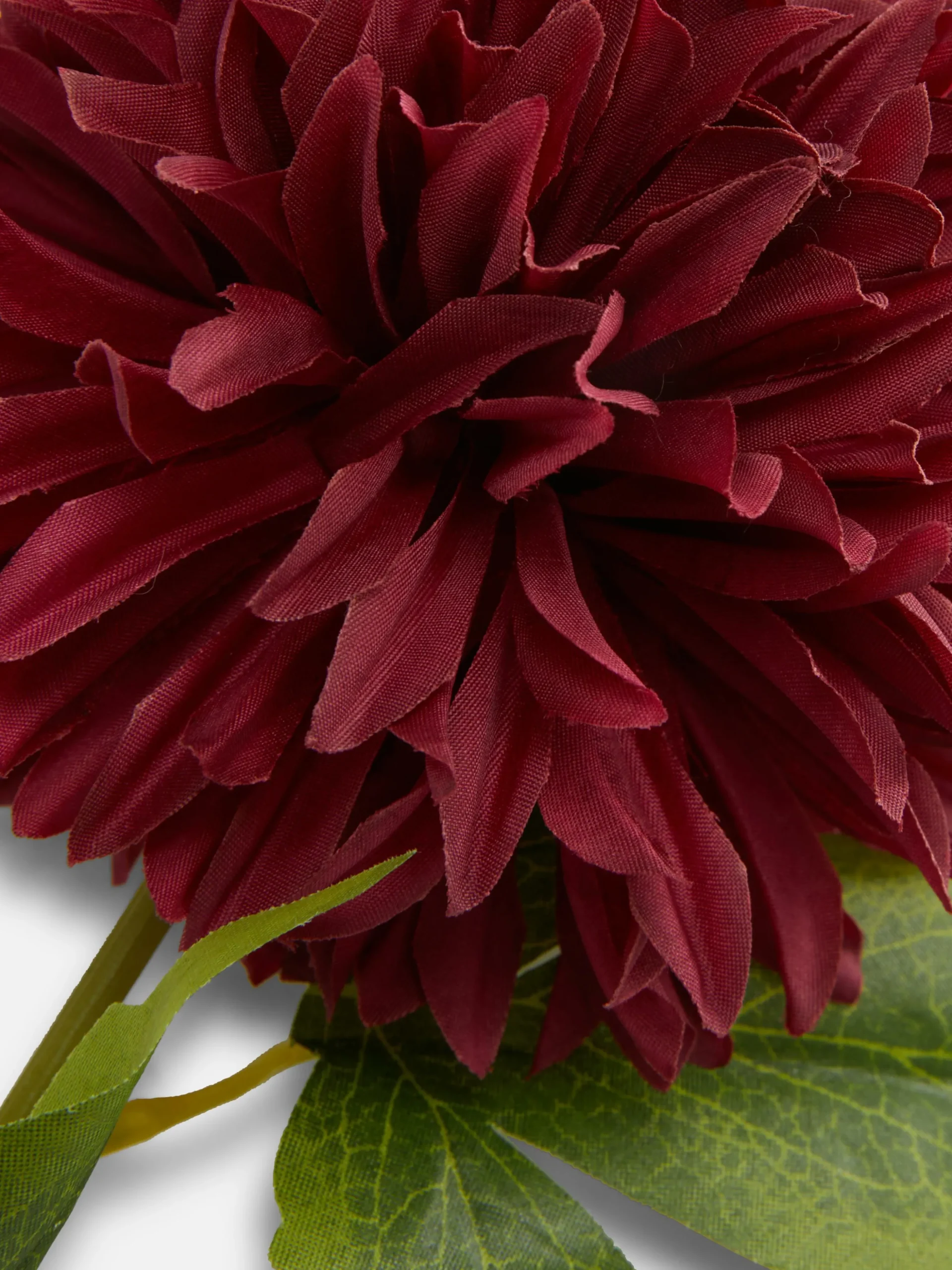 Imitatiechrysant, Enkele Steel