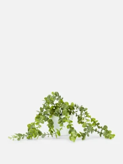 Imitatiehangplant In Pot
