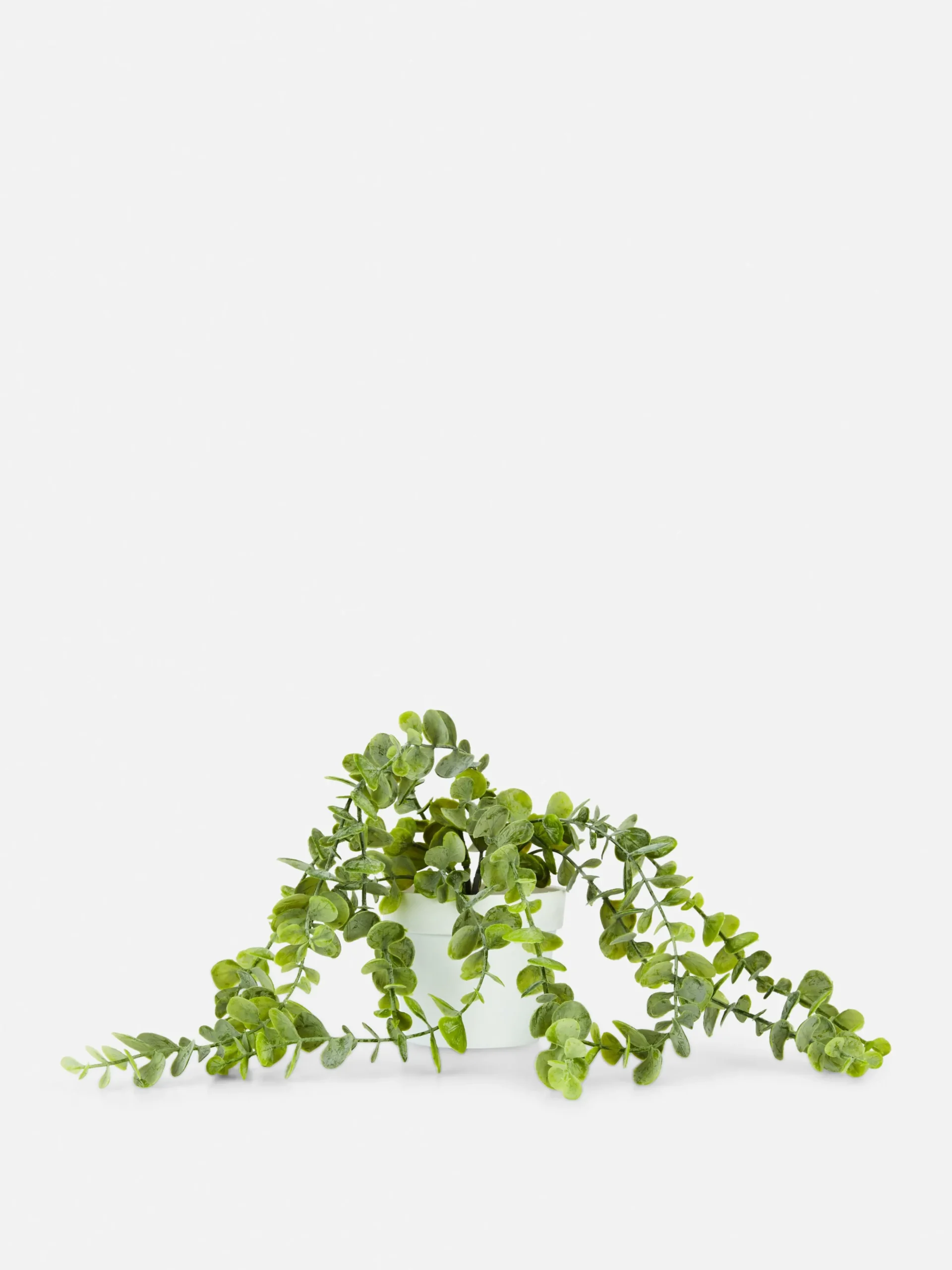 Imitatiehangplant In Pot