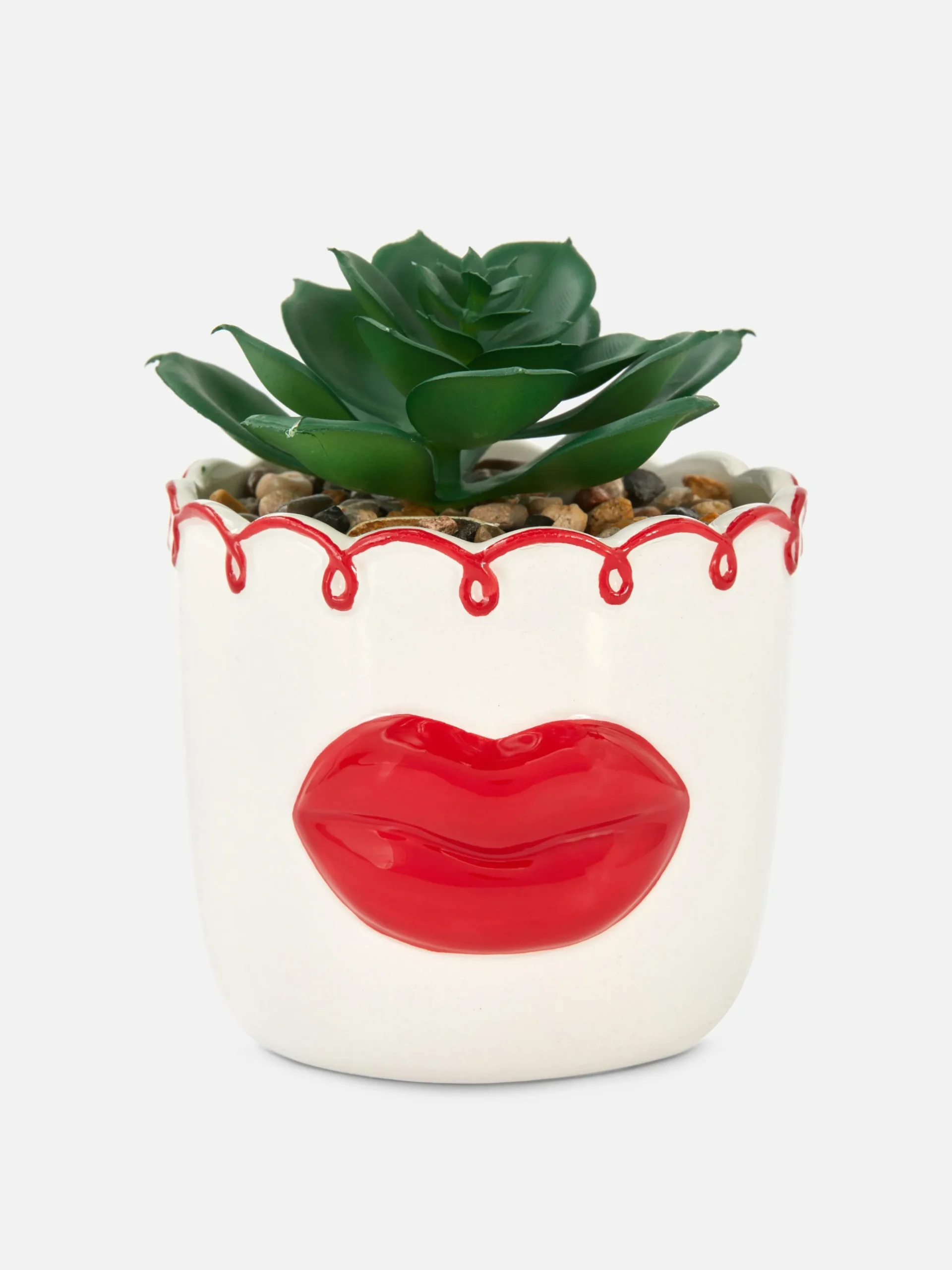 Imitatievetplant In Pot Met Lippen