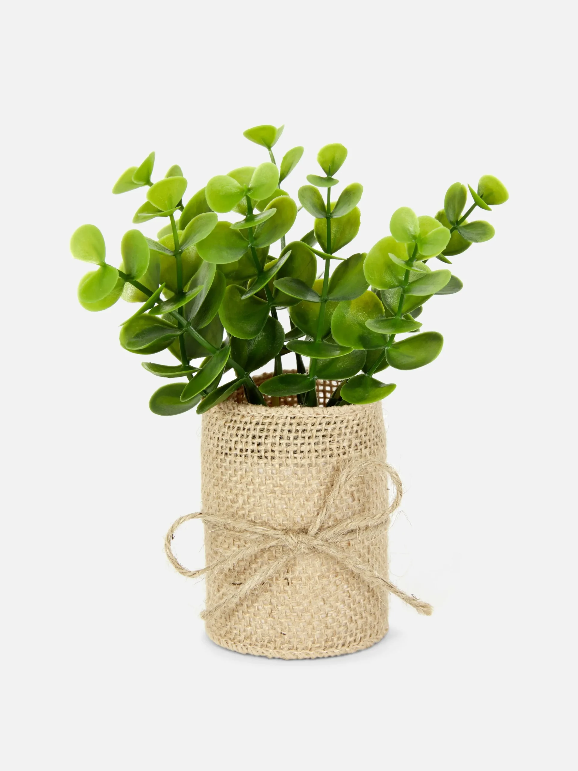 Kunstvetplant In Jute Pot