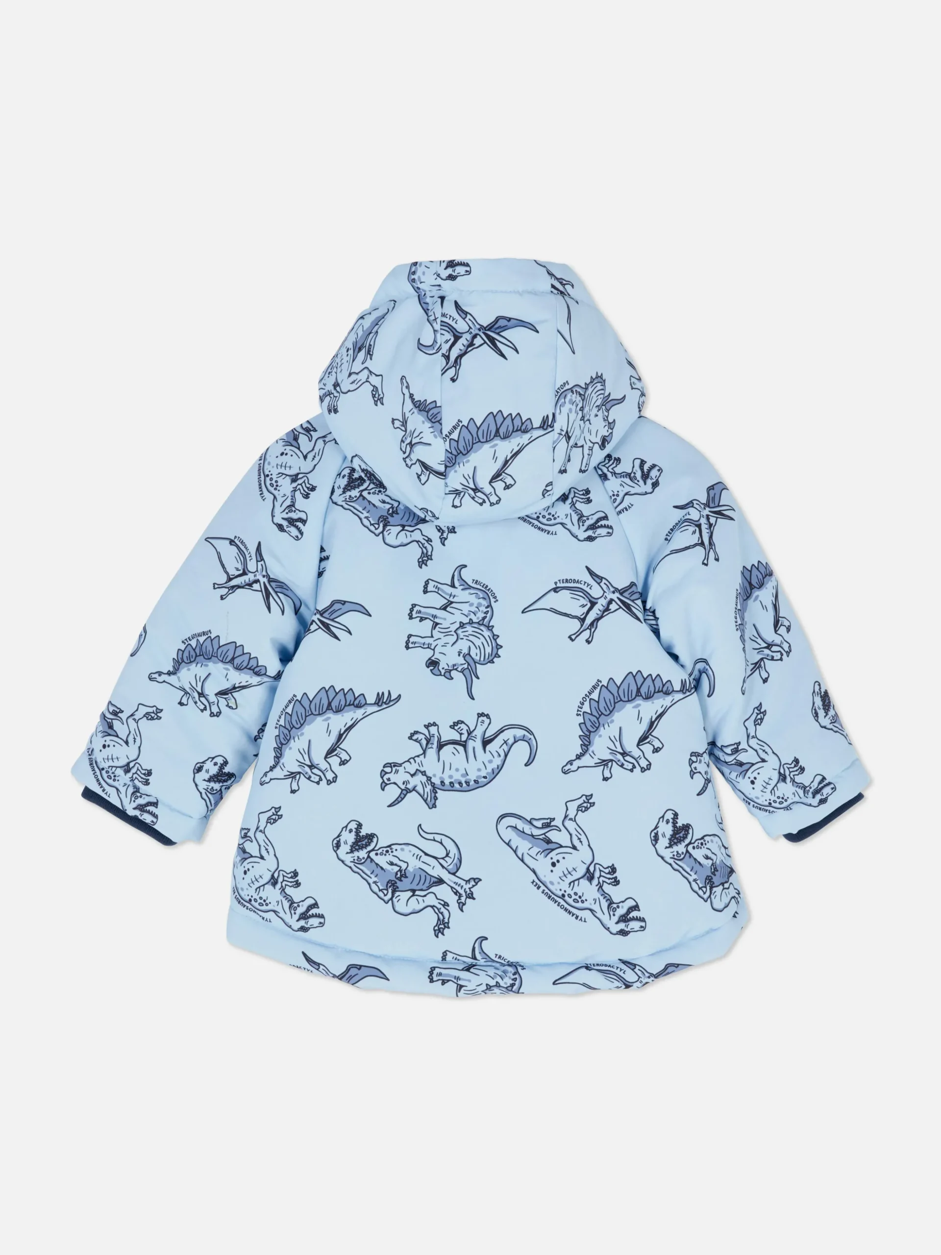 Regenjas Met Dinosaurussen