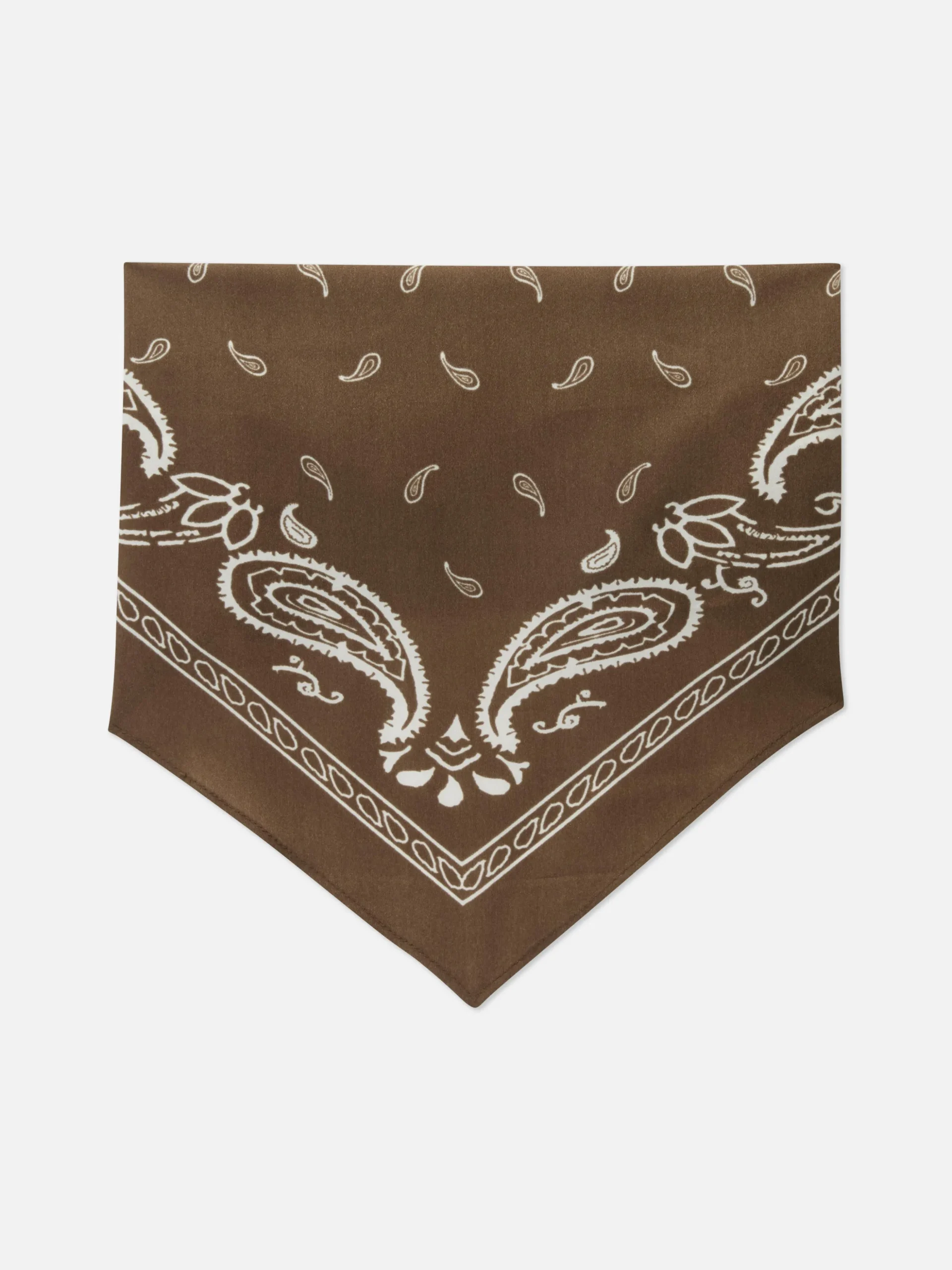 Sjaal Met Paisleyprint